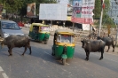 New Delhi 2013 35