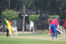 New Delhi 2013 50