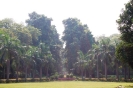 New Delhi 2013 74